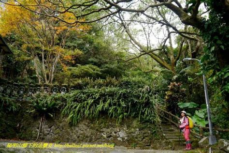 東昇水起|十八拐圳、東昇水圳、猴崁古道左線、青楓步道、猴崁水圳、草山。